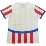 Maglia Casa Paraguay Copa America 2024