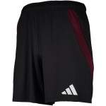 Pantaloncini Casa 1. FC Nürnberg Uomo 2024/25